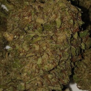 Blue Magoo 20%THC - Applegate River Roots