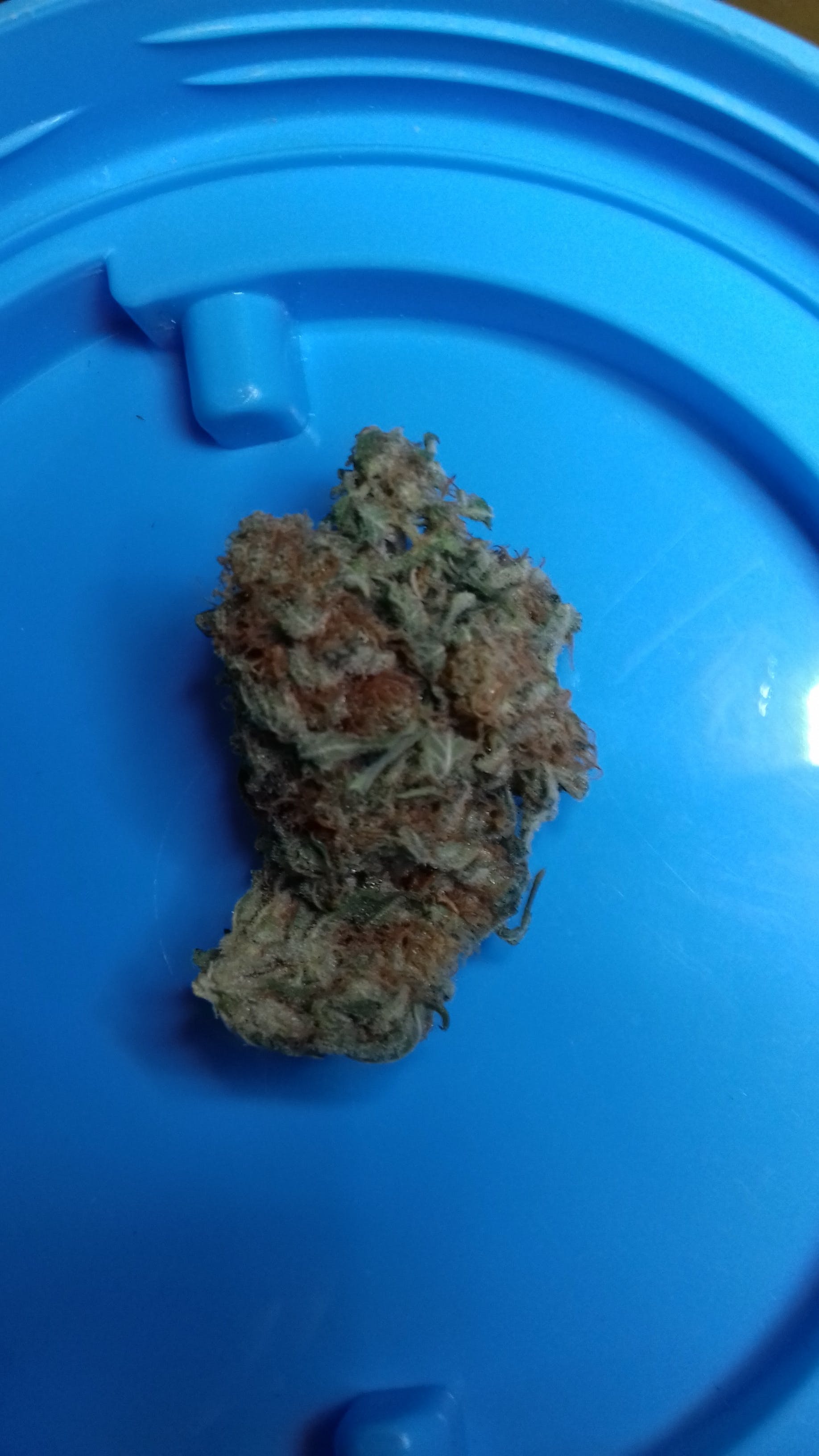 marijuana-dispensaries-pomonas-plug-20-cap-in-pomona-blue-rhino