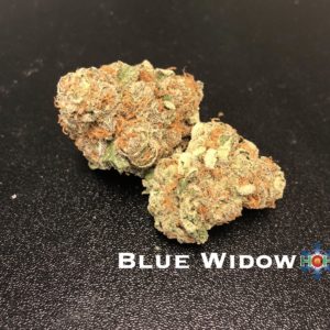 Blue Widow