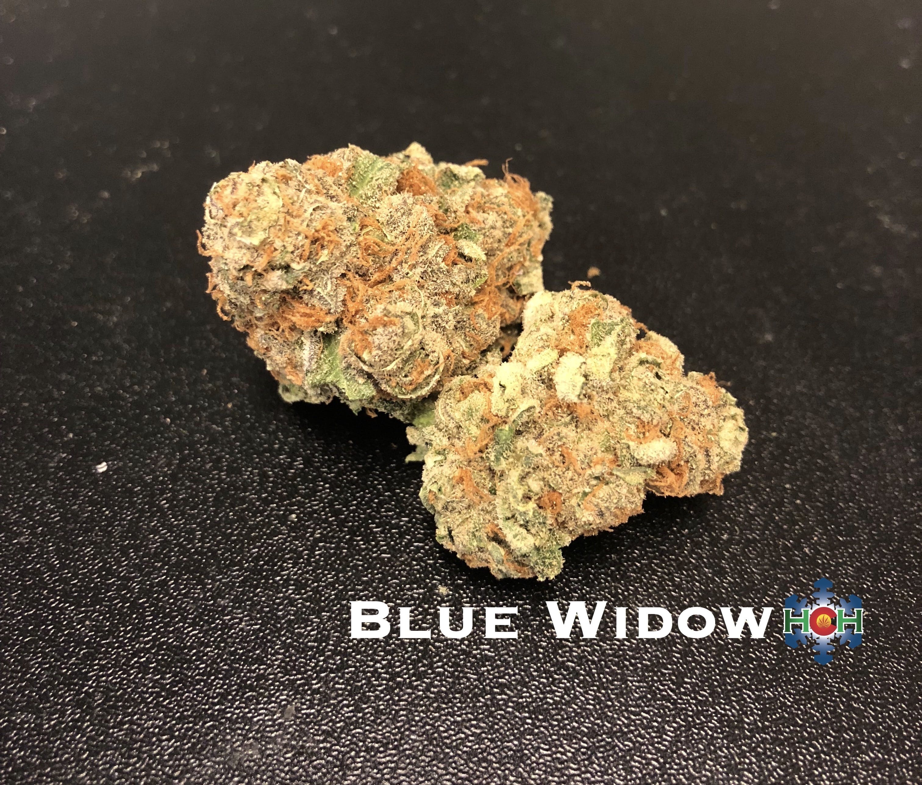 marijuana-dispensaries-good-chemistry-in-denver-blue-widow