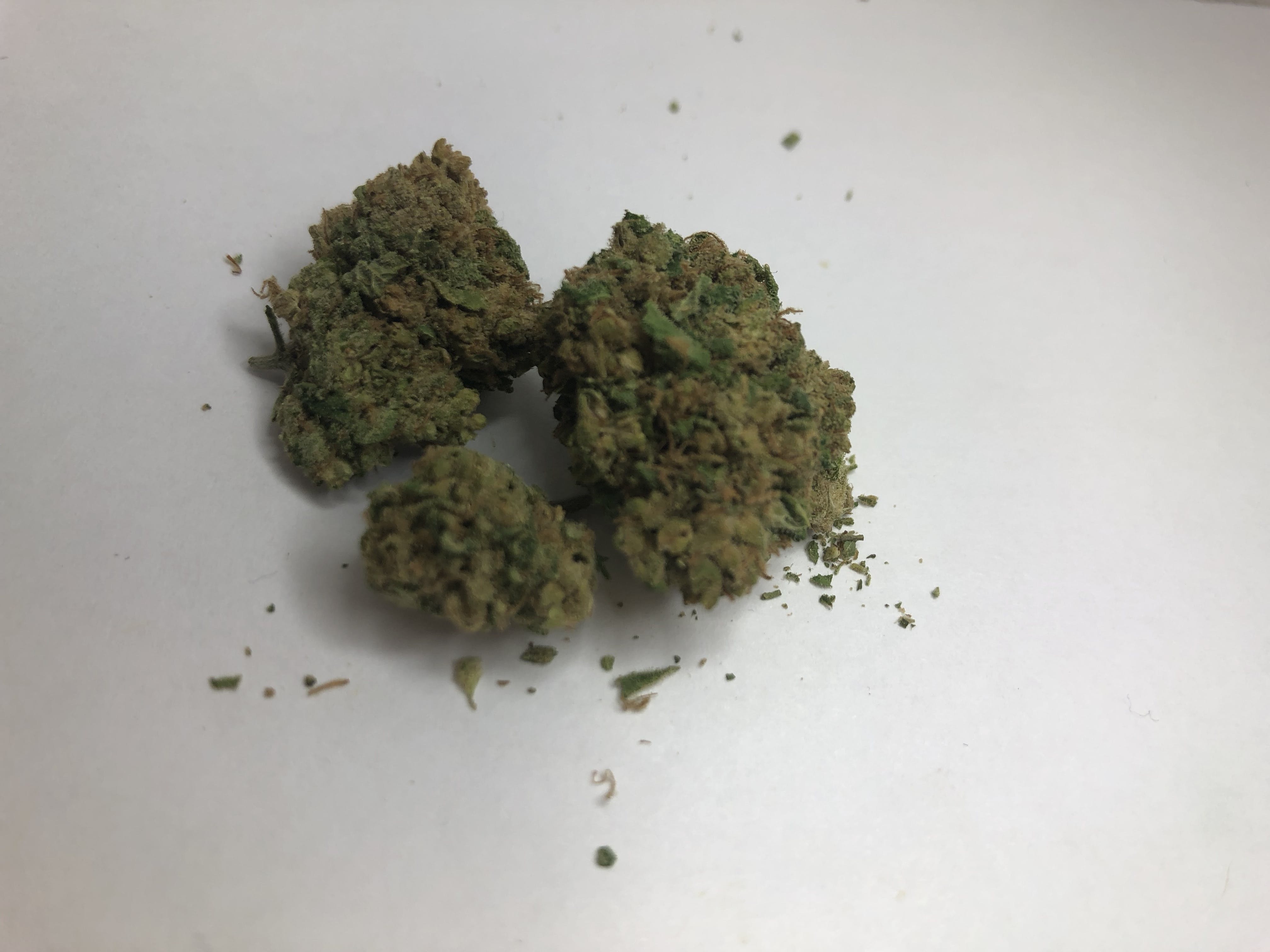 indica-blueberry-by-house-weed