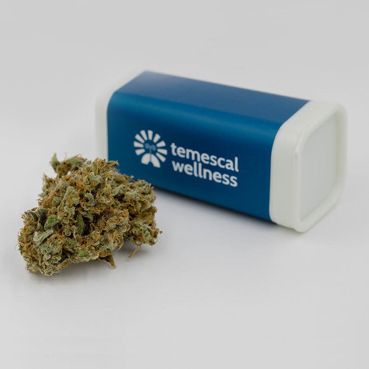 Blueberry Cereal 20.02% - Temescal Wellness - 3.5g