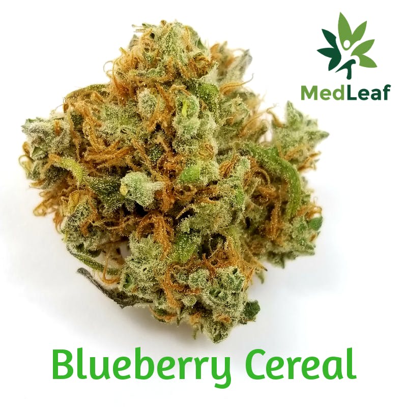 marijuana-dispensaries-9520-marlboro-pike-2c-unit-103-upper-marlboro-blueberry-cereal-evermore-17-3-25