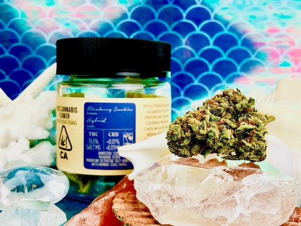 marijuana-dispensaries-22775-pacific-coast-highway-malibu-blueberry-cookies-from-henrys-original-of-mendocino-county