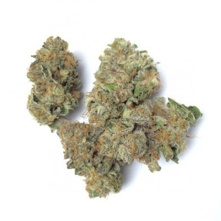 indica-blueberry-cookies-outpost-cannabis-co