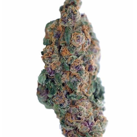 marijuana-dispensaries-3400-western-ave-las-vegas-blueberry-cookies-tahoe-hydroponics-company