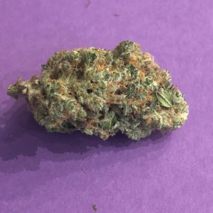 Blueberry Flower By Sage Farms