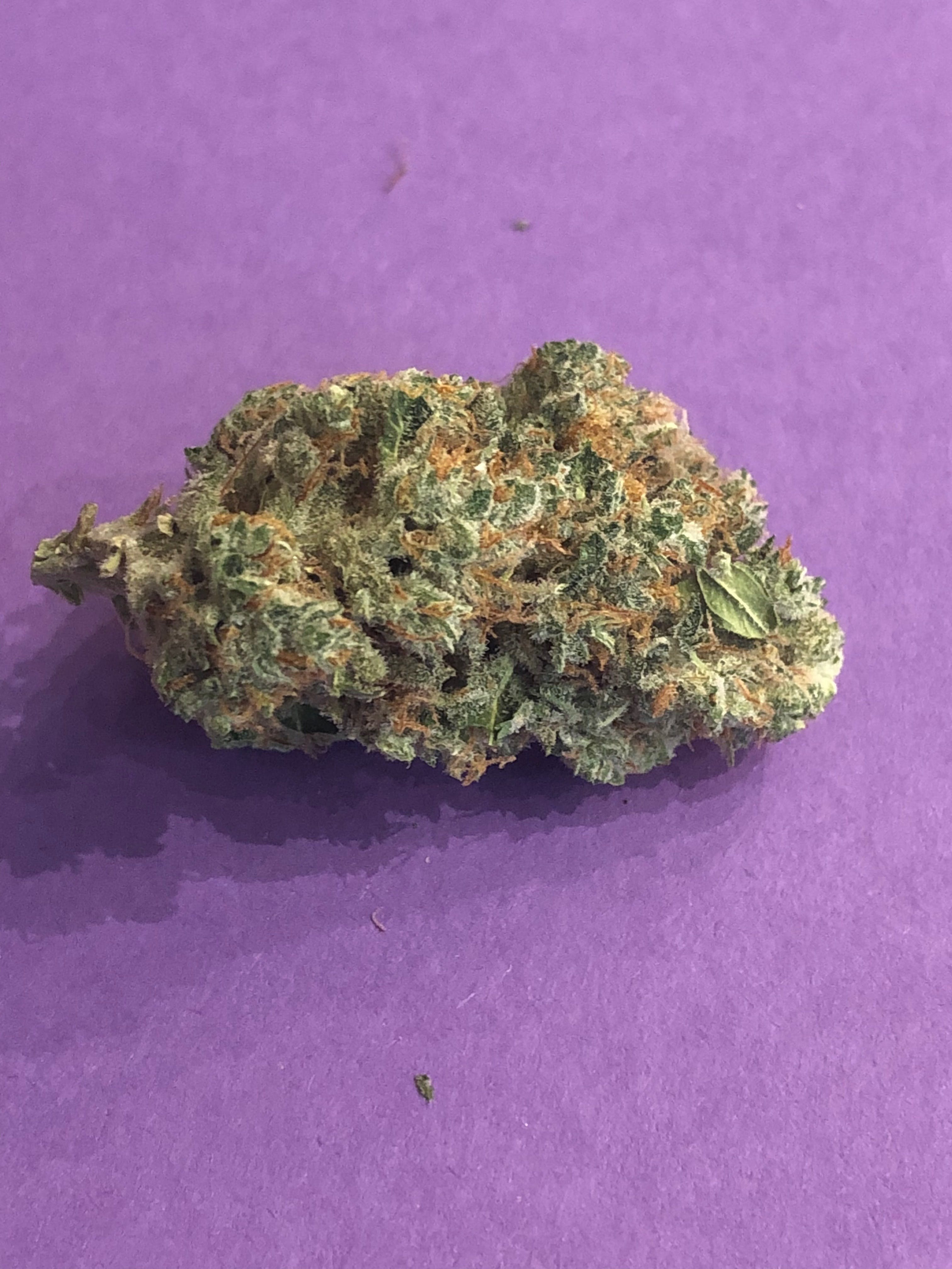 indica-blueberry-flower-by-sage-farms