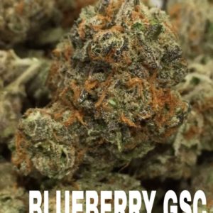 Blueberry Girl Scout Cookies