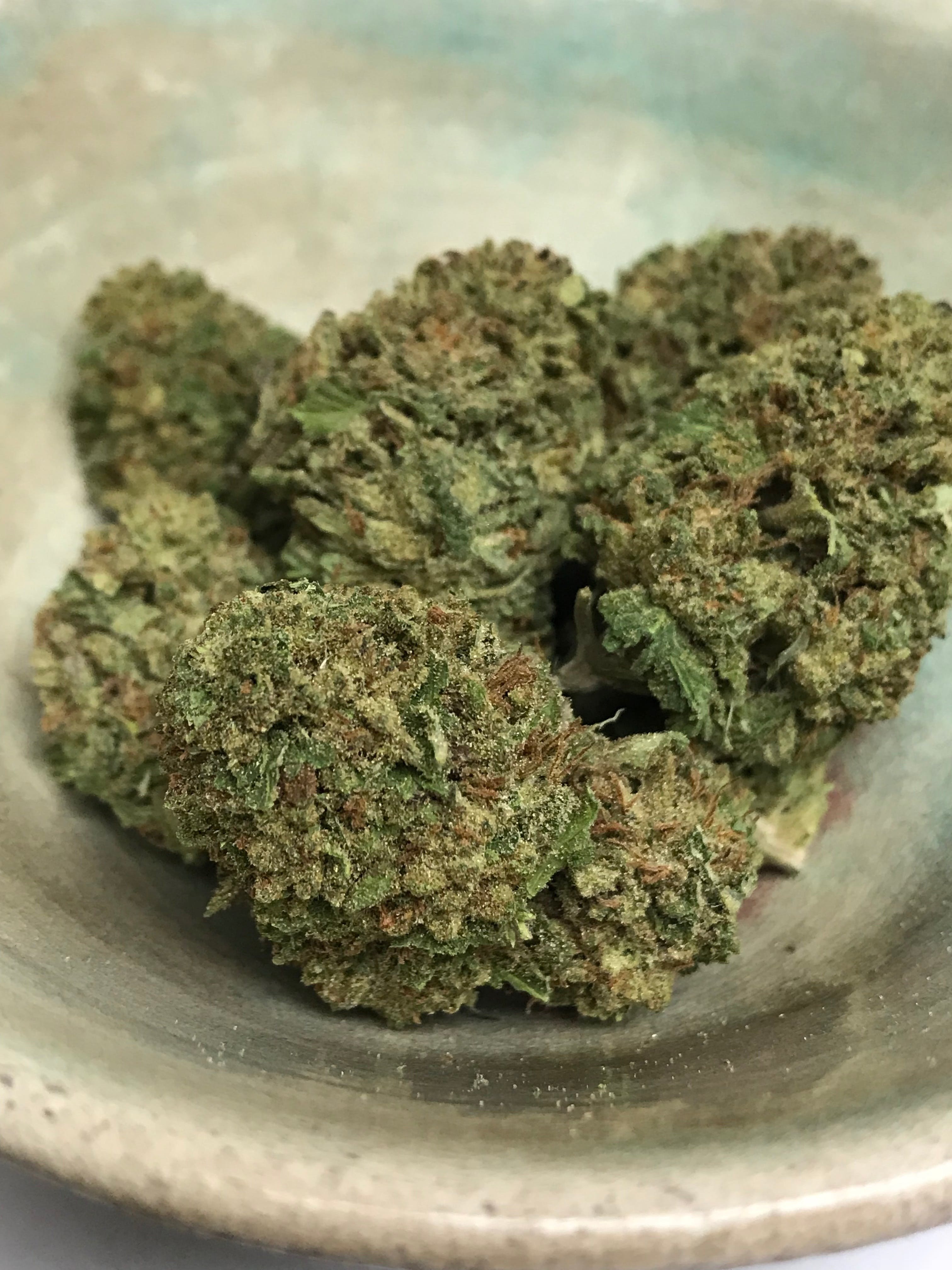marijuana-dispensaries-232-broadway-street-farmington-blueberry-greenhouse-special
