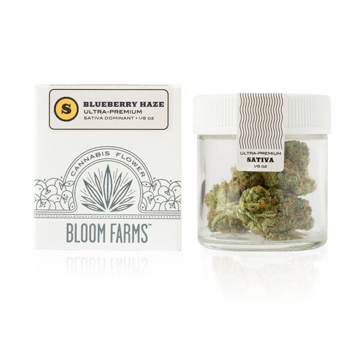 marijuana-dispensaries-american-cannabis-company-in-los-angeles-blueberry-haze-ultra-premium-flower