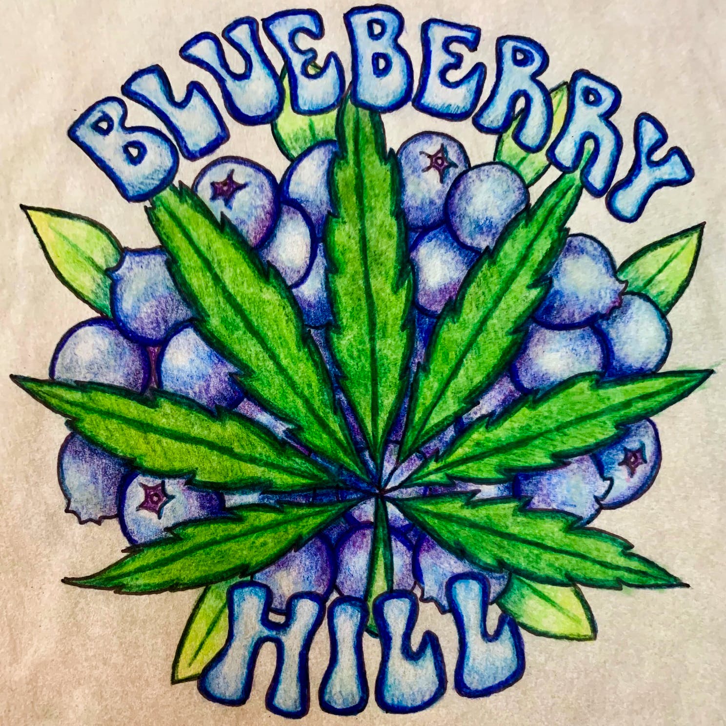 Blueberry Hill RMG Pre-Roll .8g