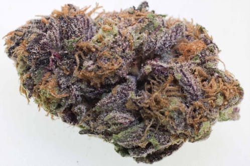 marijuana-dispensaries-1775-newport-blvd-costa-mesa-blueberry-kush-exclusive