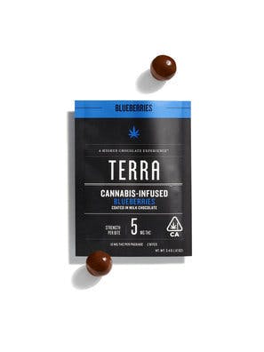 Blueberry Milk Chocolate - Terra Bites 100mg