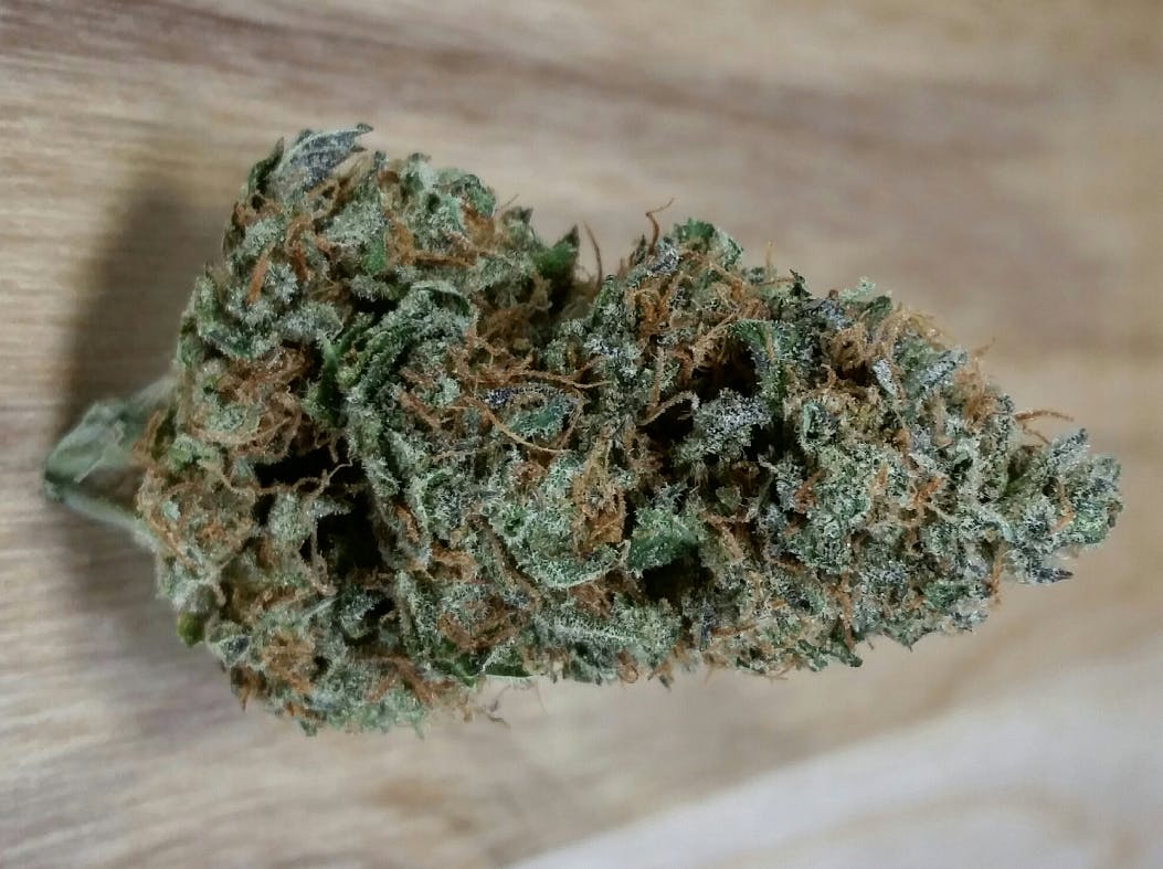 marijuana-dispensaries-5420-arapahoe-unit-f-boulder-blueberry-mountain-signature