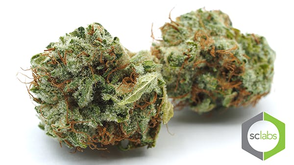 marijuana-dispensaries-2850-e-foothill-blvd-rialto-blueberry-og-topshelf
