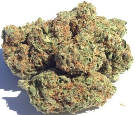 marijuana-dispensaries-4845-van-gordon-st-wheat-ridge-blueberry-popcorn-buds-tax-included