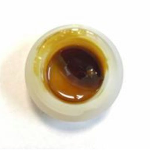 concentrate-blueberry-skunk-rosin-liberty