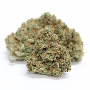 Blueberry *SPECIAL $5/G*
