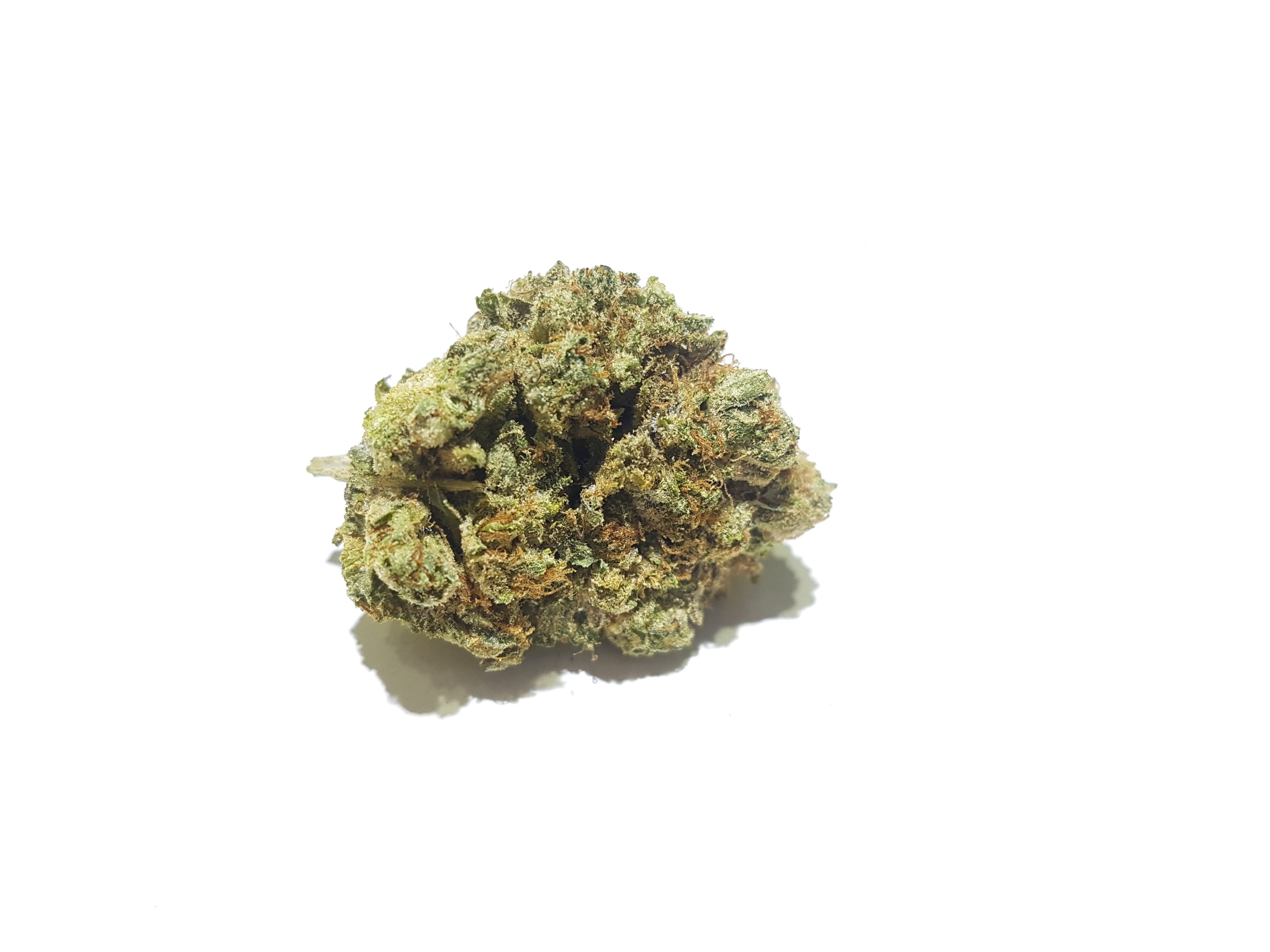 marijuana-dispensaries-841-w-gardena-blvd-los-angeles-bob-marley-og-private-selection