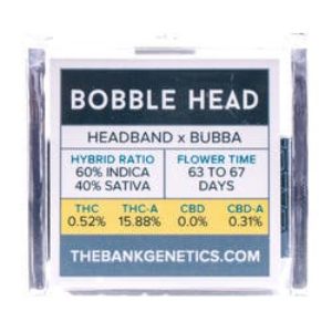 BOBBLE HEAD