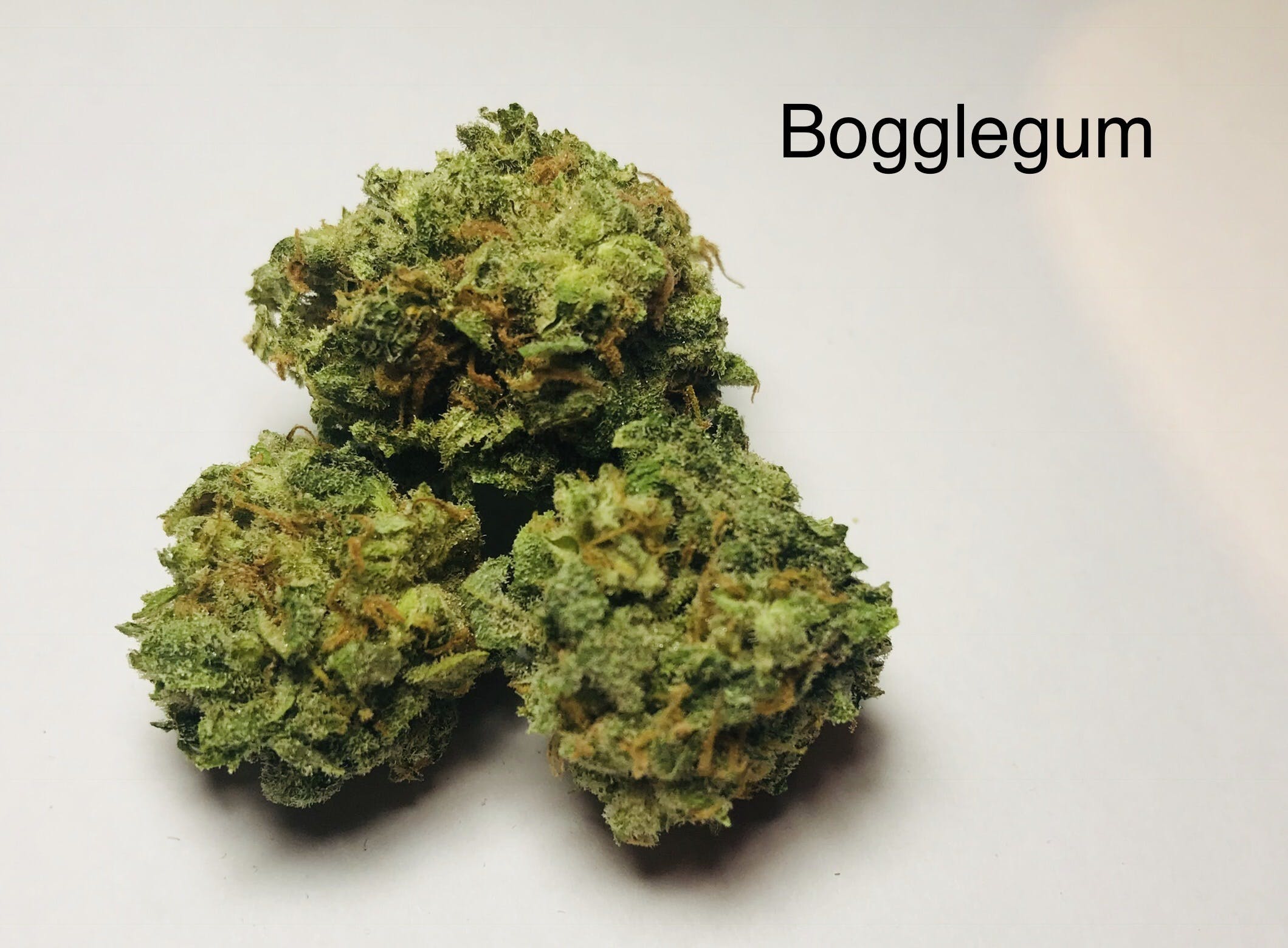 marijuana-dispensaries-the-green-source-in-colorado-springs-bogglegum