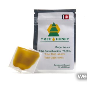 Borja by Tree Honey