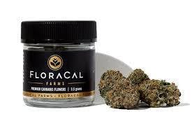 marijuana-dispensaries-patients-and-caregivers-in-north-hollywood-brandywine-by-floracal