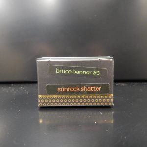 Bruce Banner #3 Shatter