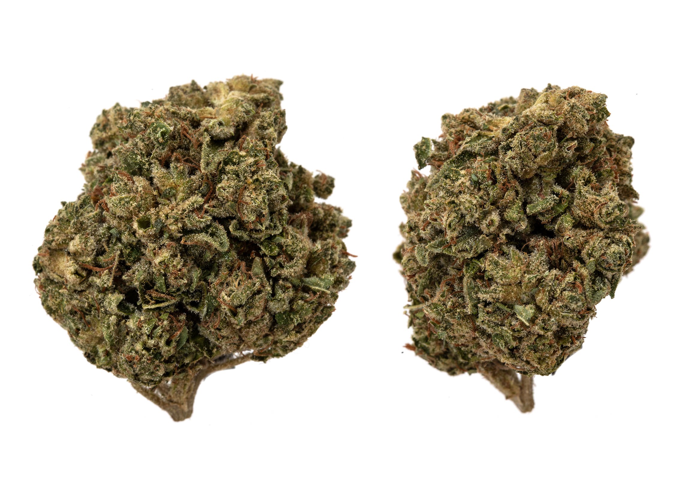 marijuana-dispensaries-supreme-purity-in-costa-mesa-bruce-lee-og