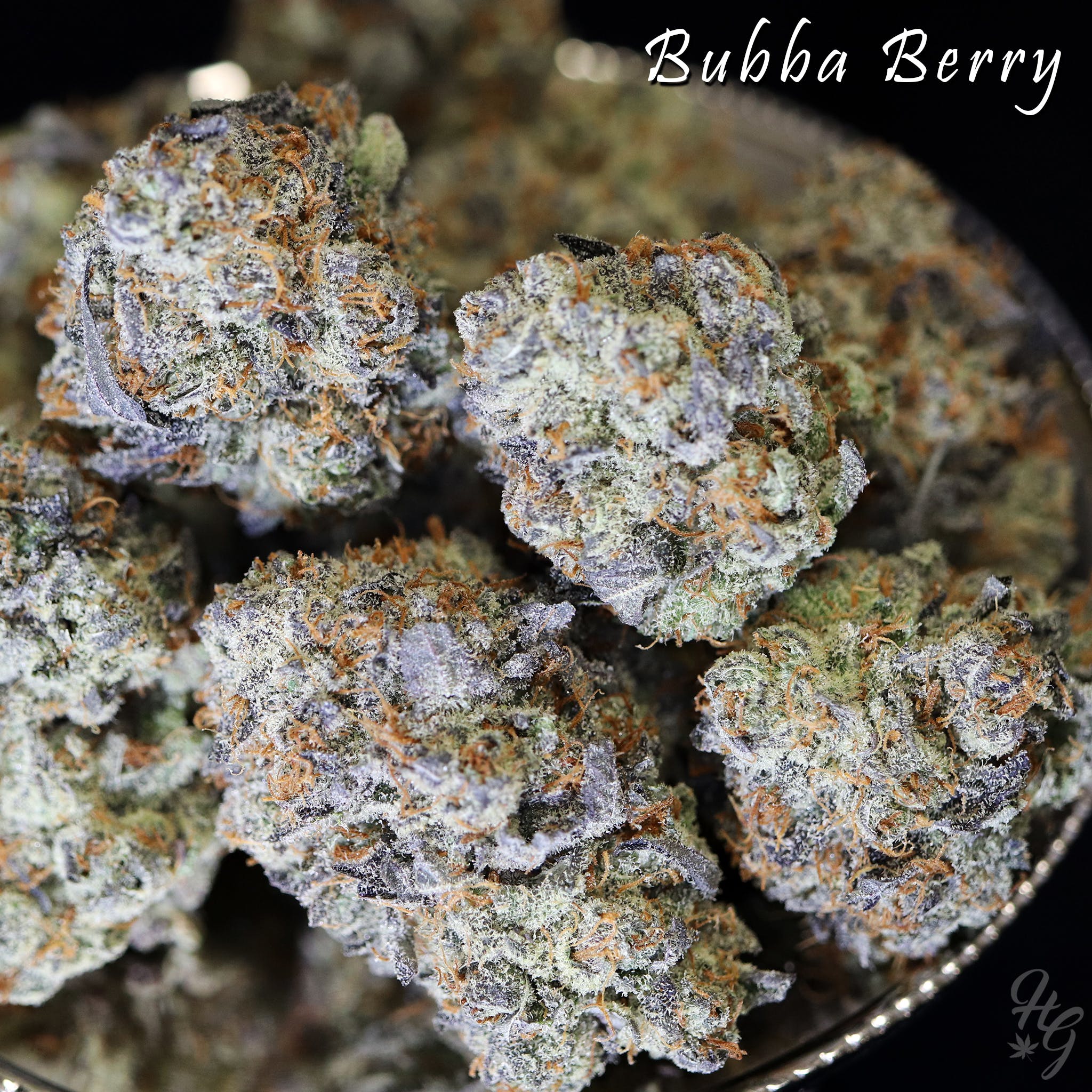 marijuana-dispensaries-higher-grade-medical-in-denver-bubba-berry