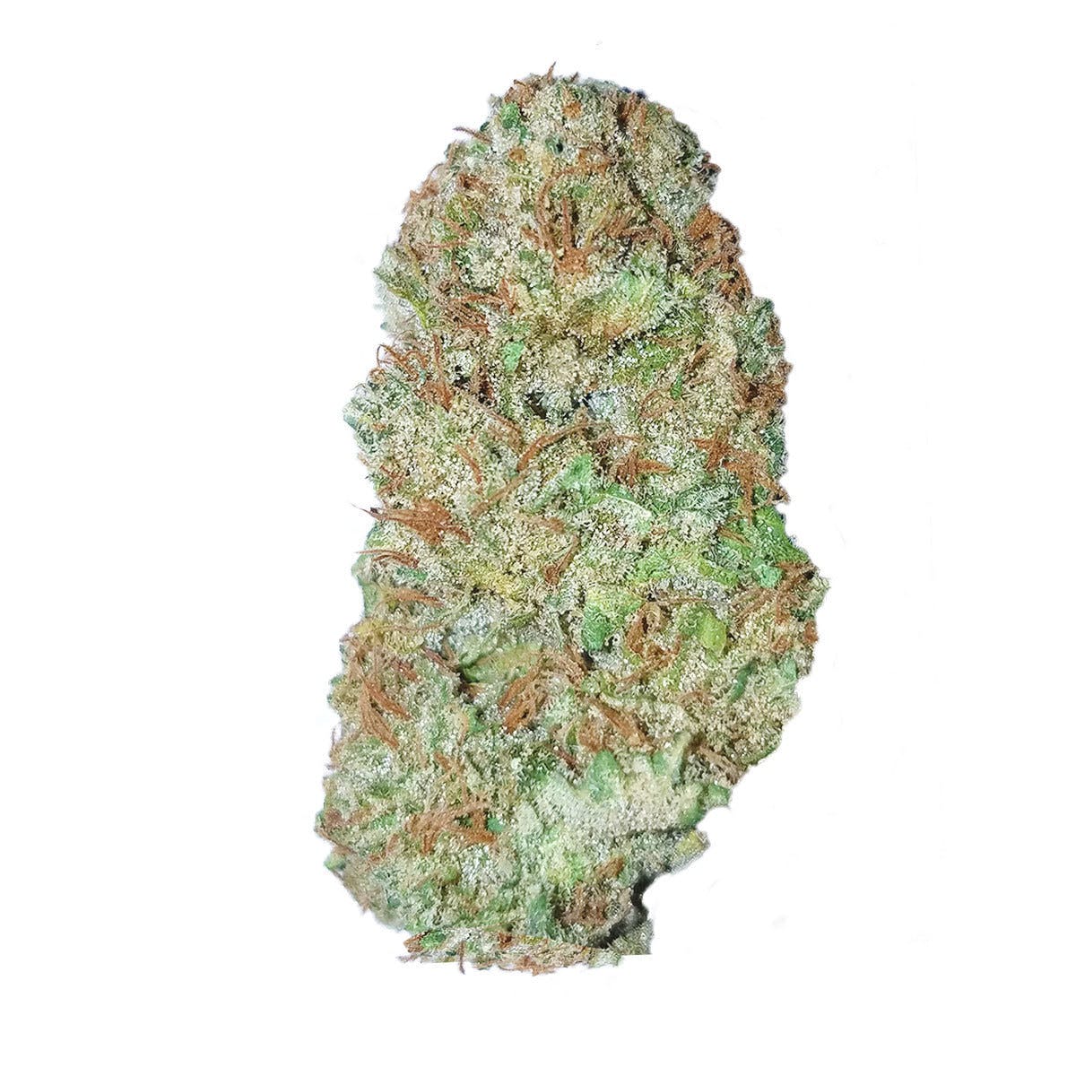 marijuana-dispensaries-2876-n-rex-street-houston-bubba-gum-kush