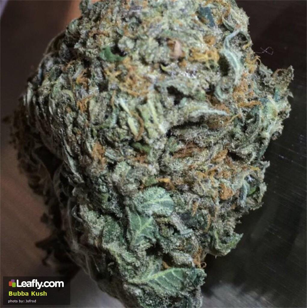marijuana-dispensaries-save-greens-in-los-angeles-bubba-kush