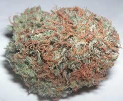 marijuana-dispensaries-3019-toupal-drive-trinidad-bubba-white-indica-19-00-25