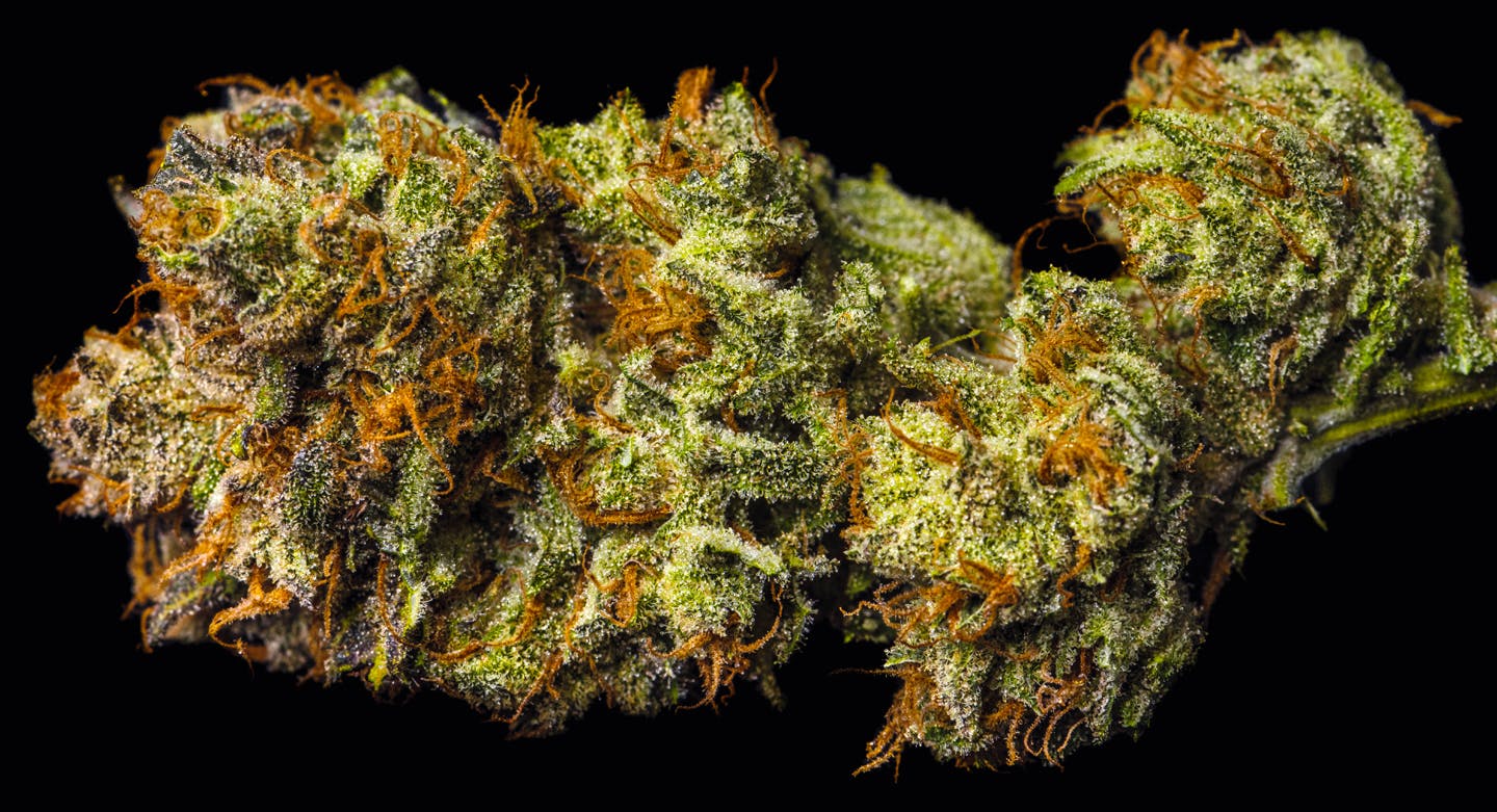 marijuana-dispensaries-elite-organics-in-ft-collins-bubble-berry