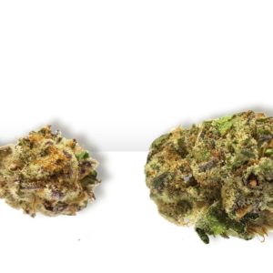 Bubble Gum - 1/8 Popcorn Buds (Pre-Packed)