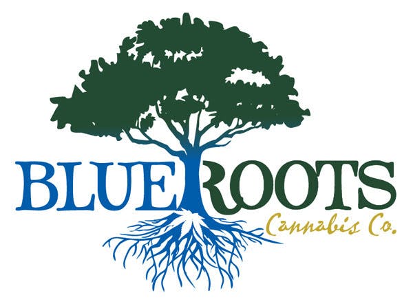 hybrid-bubblegum-blue-roots