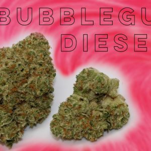 Bubblegum Diesel - from Nature's Heritage