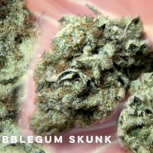 Bubblegum Skunk - from Nature's Heritage