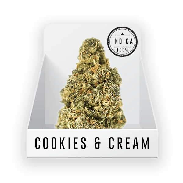 Bud - Cookies and Cream 19.90% THC