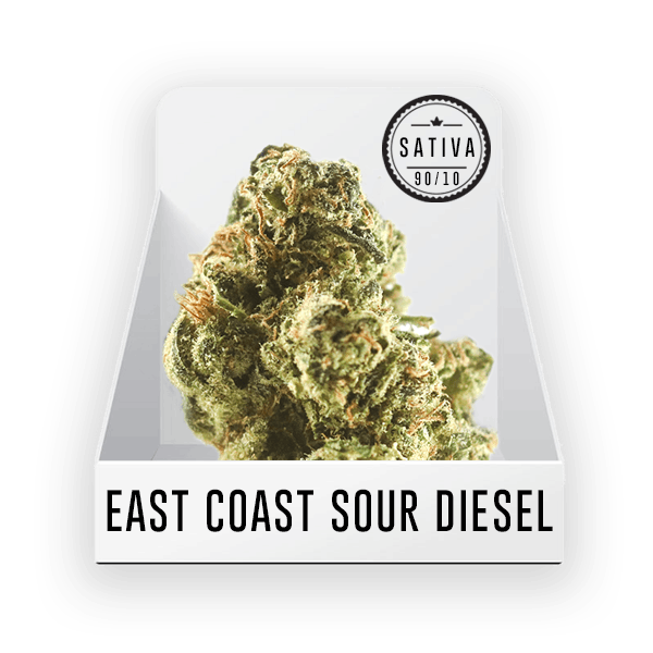 Bud - East Coast Sour Diesel 23.12% THC