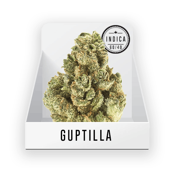 indica-bud-guptilla-21-5-25-thc