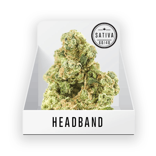 Bud - Headband 18.01% THC