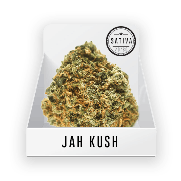Bud - Jah Kush 12.79% THC
