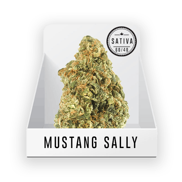 Bud - Mustang Sally 24.2% THC