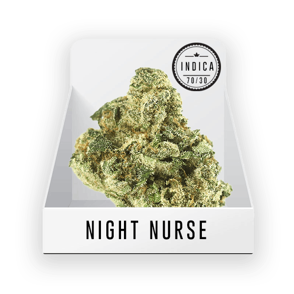 Bud - Night Nurse 21.09%