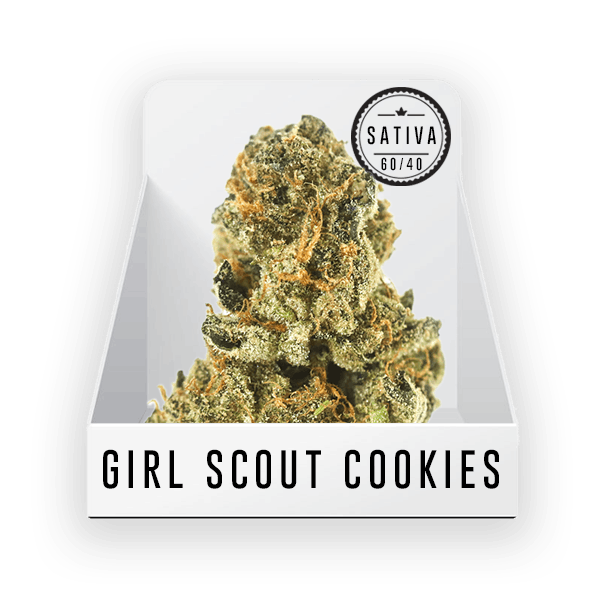 sativa-bud-private-stock-girl-scout-cookies-17-48-25-thc