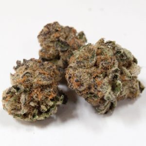 Bud (Private Stock) - Girl Scout Cookies 22.3% THC