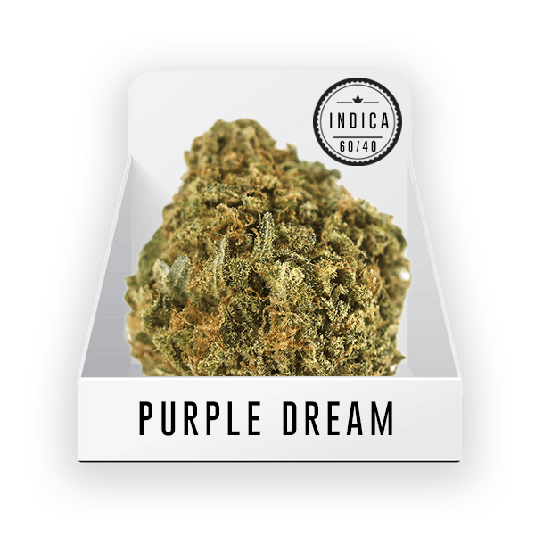 Bud - Purple Dream 19.28% THC