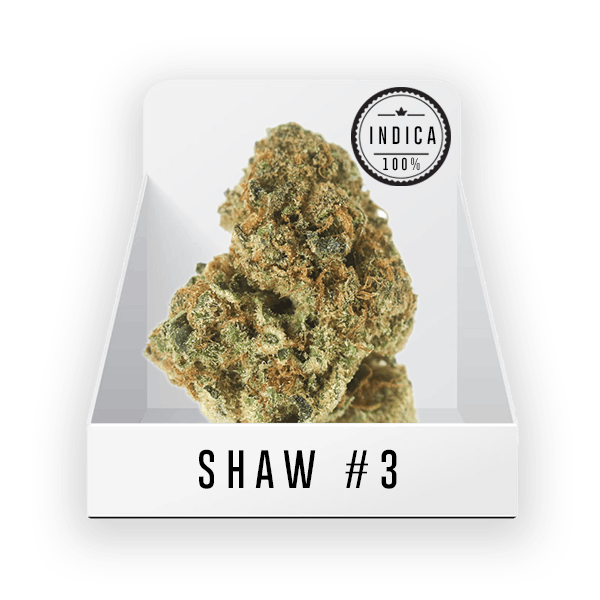 Bud - Shaw Bud #3 20.30% THC